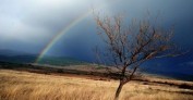 България сред фаворитите на 